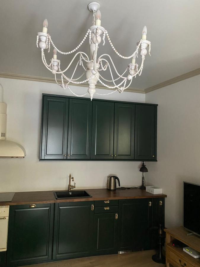 Exclusive Gaono Apartment In The Heart Of Old Town Вильнюс Экстерьер фото